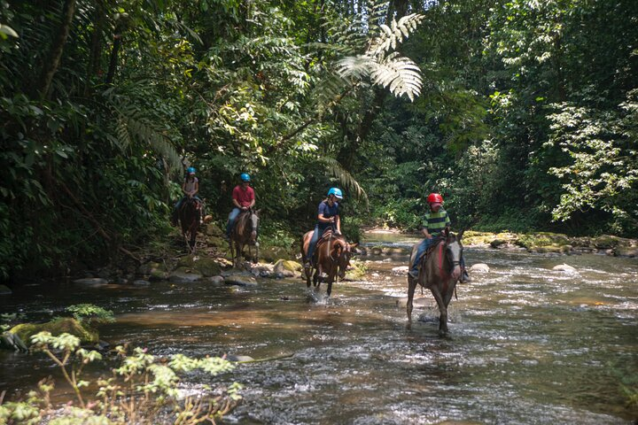 Sarapiqui Forest Horseback Riding Experience in Costa Rica - Photo 1 of 6